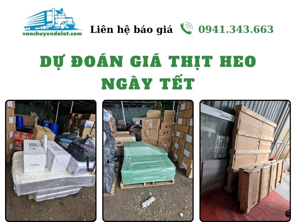 du-doan-gia-thit-heo-ngay-tet-vanchuyendalat