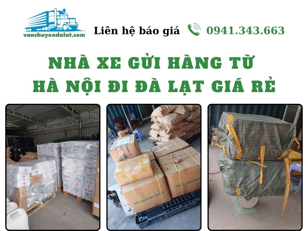 nha-xe-gui-hang-tu-ha-noi-di-da-lat-gia-re-vanchuyendalat