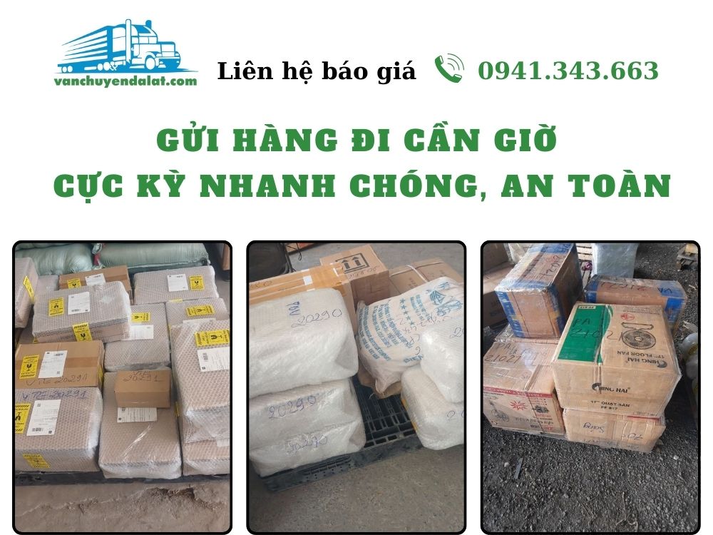 gui-hang-di-can-gio-cuc-ky-nhanh-chong-an-toan-vanchuyendalat